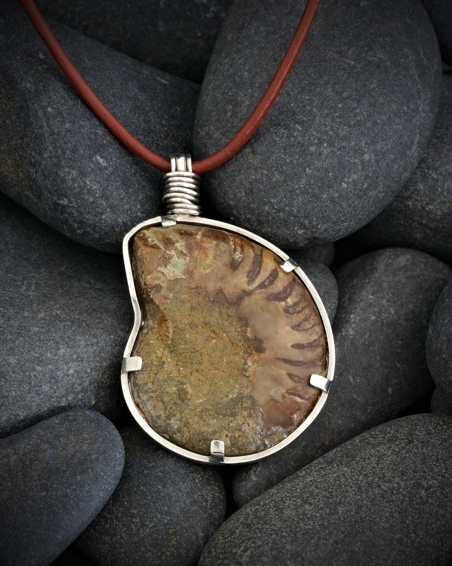 Ammonite Fossil Pendant